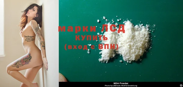 ГАЛЛЮЦИНОГЕННЫЕ ГРИБЫ Вязьма